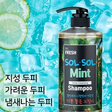 솔솔민트 딥클렌징 지성용 두피샴푸, 2개, 750ml