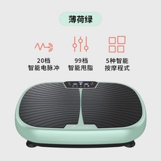 쉐이크보드 운동기구덜덜이효과 진동운동기 음파운동기 진동기 덜덜이, EMS 펄프퍼지기  디퓨저 문예민트 2배