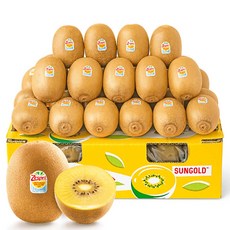 제스프리 썬골드키위 6kg 대용량 점보, 1box, 점보 개별 150g내외 36~37개입