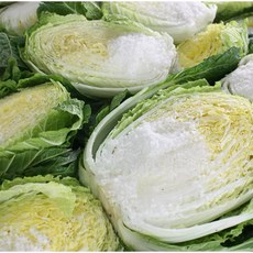 진짜 맛좋은 해남 절임배추 김장용 배추, 1박스, 20kg