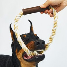 럭키페터 대형견 터그 놀이 로프 강아지 이갈이 장난감 노즈워크 로프터그 원모양, 베이지
