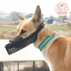 소형견 중형견 대형견 푸들 리트리버 진돗개 짖음방지 메쉬 원버튼 입마개 가벼운, 원버튼-XS