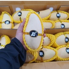 태국망고 선물세트 남독마이 망고 골드망고, 태국망고 2.5kg (7과수내외)