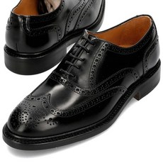 버윅 추천 1등 제품