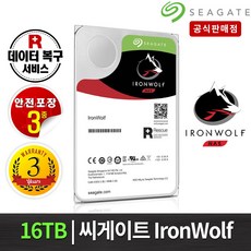 시놀로지 Synology 아이언울프 NAS 하드 16TB x 2개 패키지