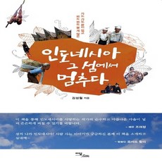 이담북스 새책-스테이책터 [인도네시아 그 섬에서 멈추다] ---이담북스-김성월 지음-동남아시아여행 에세이-20140306 출간-판형, 인도네시아 그 섬에서 멈추다, NSB9788926861172