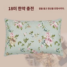 수면을 돕는 깊은 1인 건강 인 결명자 메밀 라벤더 쑥 목 보호 베개, 그린(더블베개커버) 18미 재 충전 베개커버, 1개, 1개입