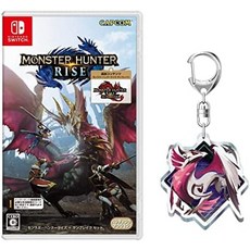 몬스터헌터라이즈선브레이크