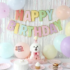 강아지 생일파티 세트, 미니, 고깔set, 핑크