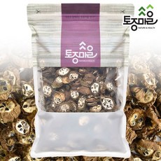 [토종마을]국산 으름 600g, 600g 특대, 1개