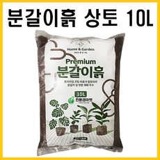 한판승상토