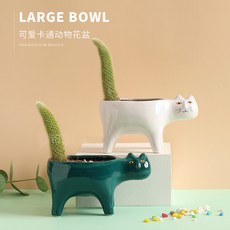 원숭이꼬리선인장