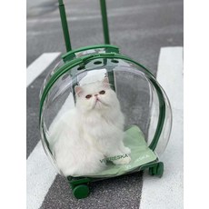 비스트로캐리어