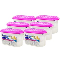 물먹는하마 옷장용 제습제, 300g, 6개