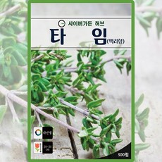 타임 씨앗 백리향 씨 허브 종자 300립, 1개