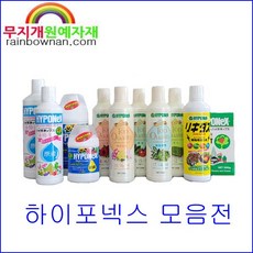 하이원액티비티