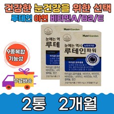 눈좋아지는법책
