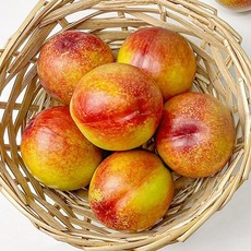 신비복숭아 1kg 중대과, 1세트