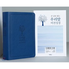 큰글로읽는우리말비전성경두란노