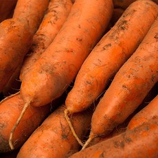 당근마켓페스툴도미노