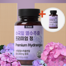 Mt베네핏 수국잎 열수 추출물 프리미엄정 1000mg, 2개, 1g