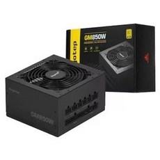 세고텝 Segotep GM850W 80PLUS GOLD 풀모듈러 ATX 3.1 (PCIE5.1) 블랙 파워서플라이, 1개