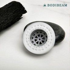 바디빔