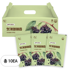 황금이네 헛개즙 100ml, 3L, 10개