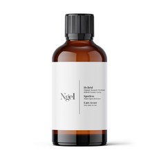나노아이코닉 엔젤 Ngel 가성비 자동차 유리막코팅제 50ml, 1개