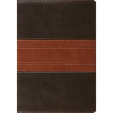 (영문도서) Study Bible-ESV-Trail Design Imitation Leather, Crossway, English, 9781433503931