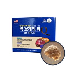 빅 브레인 큐 포스파티딜세린 은행잎추출물 비타민e, 60정, 2개
