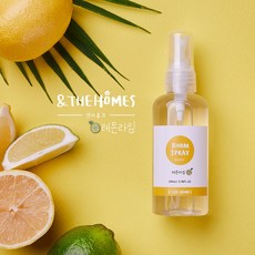 디에스앤더가디스커버리