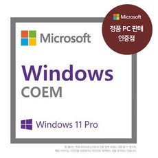 마이크로소프트 Windows 11 Pro DSP COEM 윈도우 11 프로 영구버전 가정용