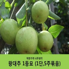 찔레뿌리