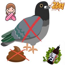 5배강한 5UP 강력 비둘기 접근금지 1000ml, 5UP강력비둘기접근금지1000ml, 1개