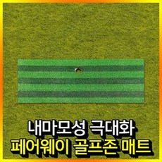 골프개인레슨