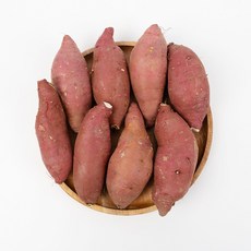 도시농장