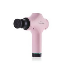 바디픽셀머슬건