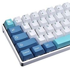 쇼코키캡