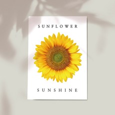 조니워커 블랙 위스키