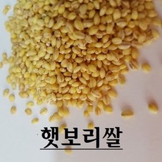 [24년산] 햇찰보리 국산찰보리 햇찰보리쌀, 1개