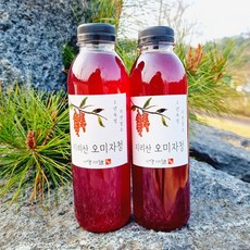 지리산 오미자청 500ml 자연숙성 원액 엑기스 효소 수건식품, 1개, 1개입