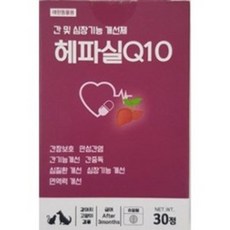 헤파실