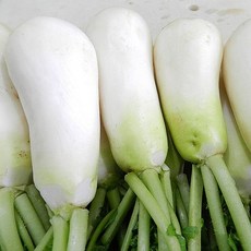 세척 알타리 절임 5/10kg, 02. 세척 알타리절임 10kg, 상세설명 참조