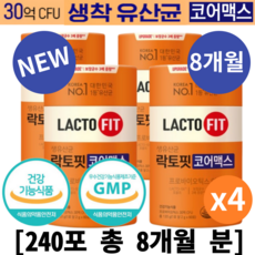 락토핏 TOP01