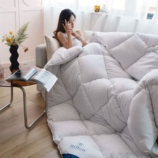 거위털 오리털이불 힐튼 이불 95% 봄 가을 두껍고 겨울 싱글 더블 기숙사 코어 담요, [03] 150X200cm  2.5kg, [01] A