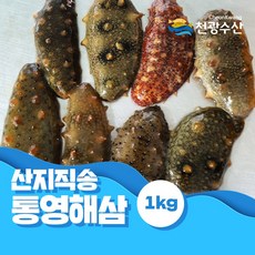 산지직송 통영 해삼 1kg
