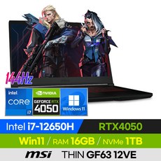 [사은품 증정!] MSI THIN GF63 12VE i7 가성비 고사양 RTX4050 배그 롤 오버워치 로아 발로란트 12세대 15인치 게이밍 노트북, 블랙, 코어i7, 1TB, 16GB, 윈도우 포함