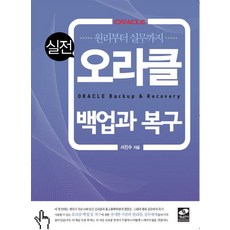 추천4IT 도서 생능