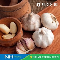 농협 2024 햇 제주 햇살바람 햇마늘 5kg